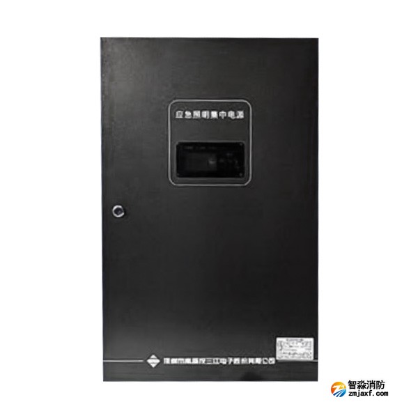 江苏海湾SJ-D-0.6KVA/P601AC应急照明集中电源 4回路 壁挂式