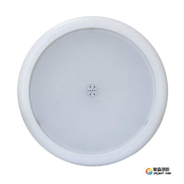江苏海湾HW-ZFJC-E6W-N656SG声光感应型消防应急照明灯具