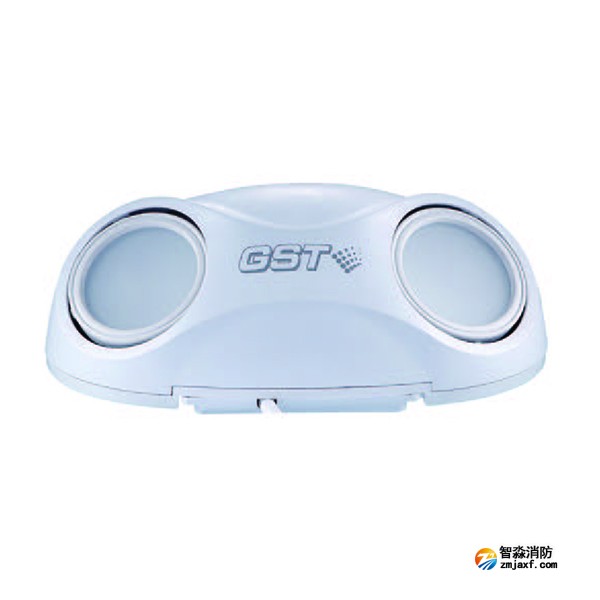 江苏海湾HW-ZFJC-E3W-SN660集中电源集中控制型消防应急照明灯具