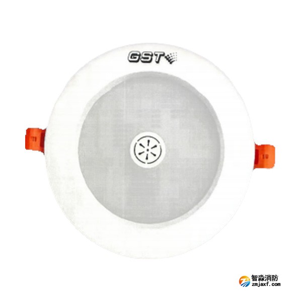 江苏海湾HW-ZFJC-E6W-N651SG集中电源集中控制型消防应急照明灯具