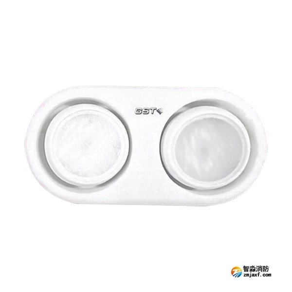 江苏海湾HW-ZFJC-E3W-YN663集中电源集中控制型消防应急照明灯具（3W双头灯）